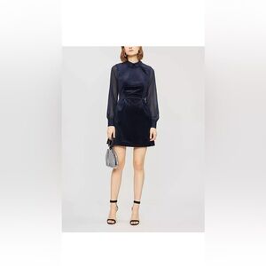 Ted Baker London Lourah
Georgette Sleeve Velvet
Minidress